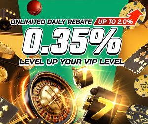 0.35% Unlimited Daily Rebate + up to 2% more for VIP players